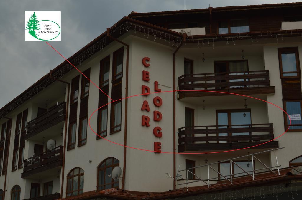 Pine Tree Apartment D34 Банско Екстериор снимка