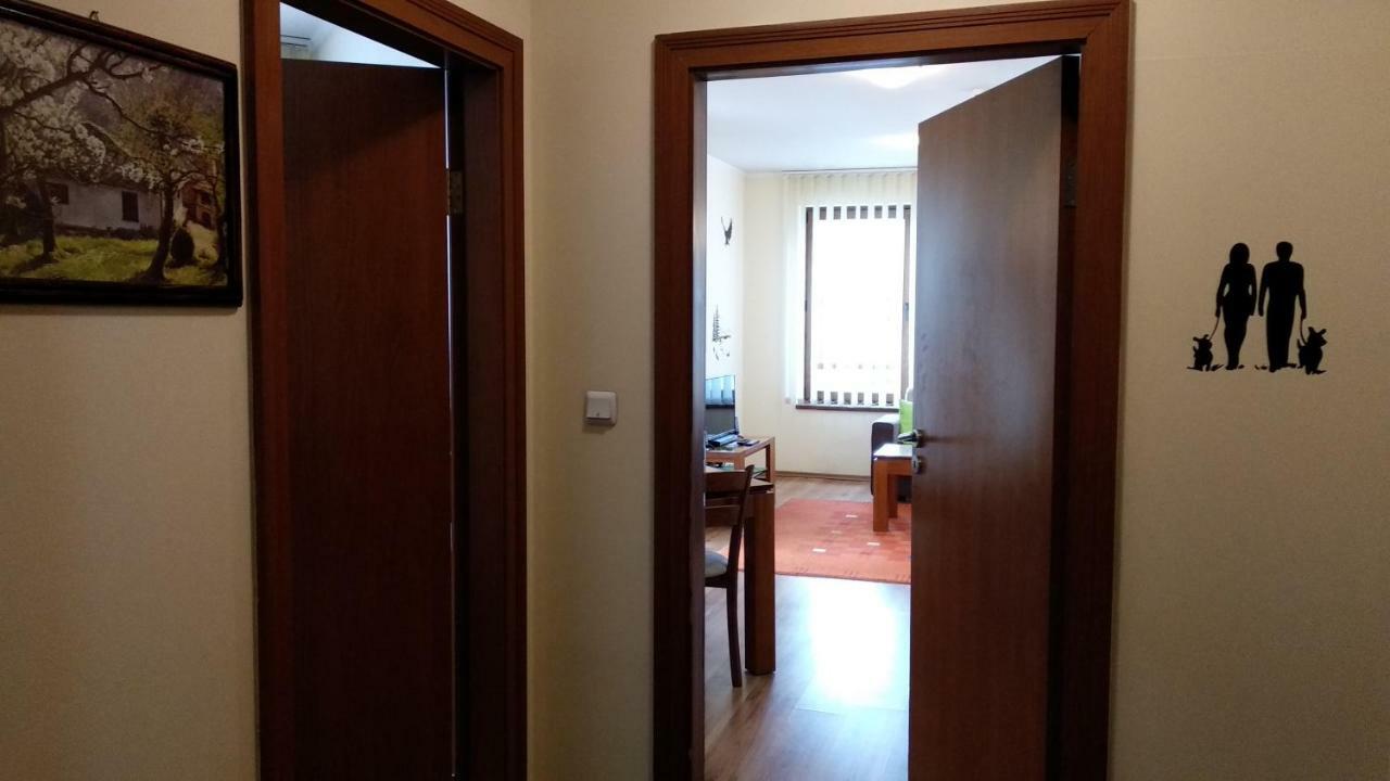Pine Tree Apartment D34 Банско Екстериор снимка